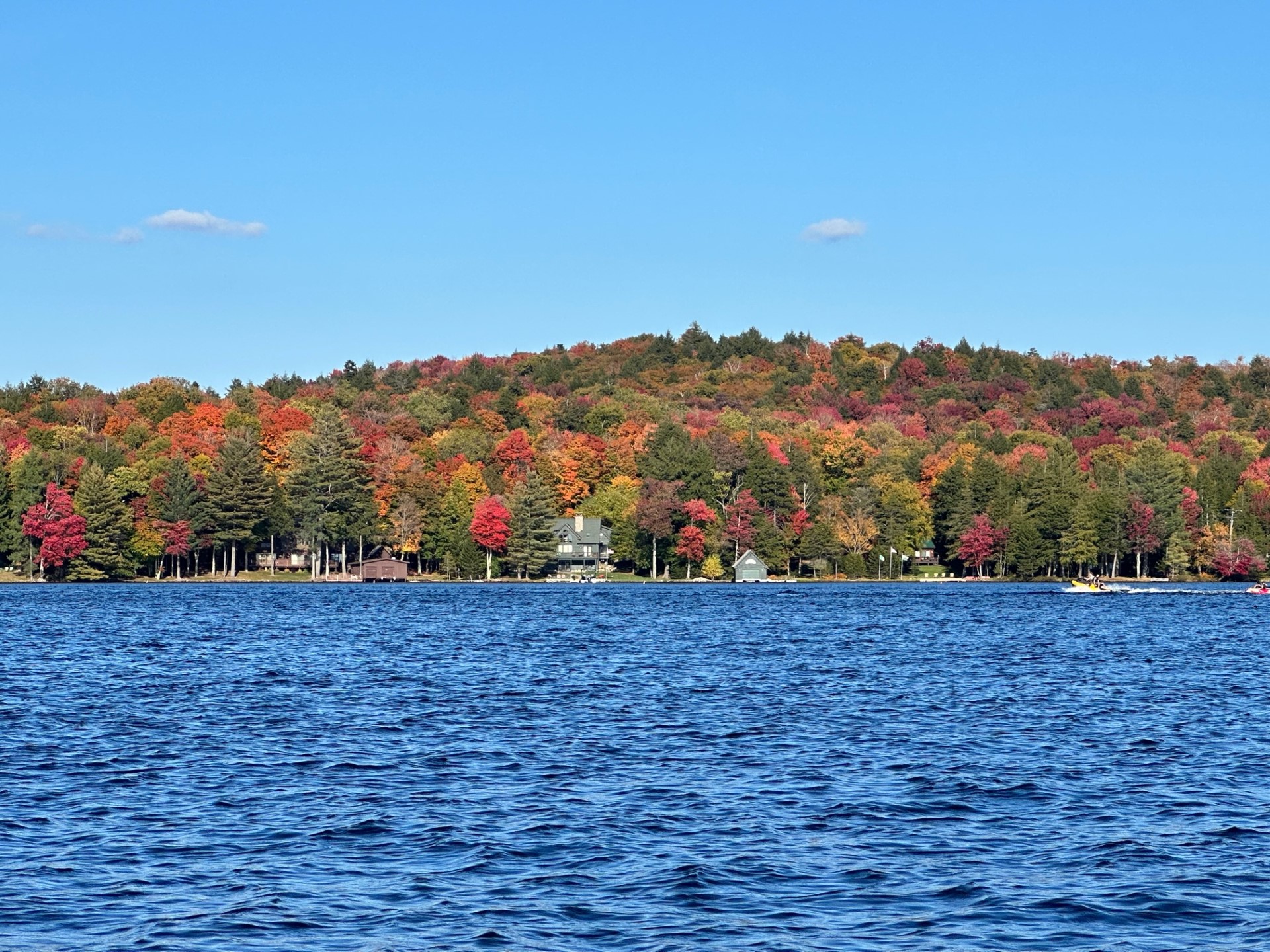 2024 Foliage Report